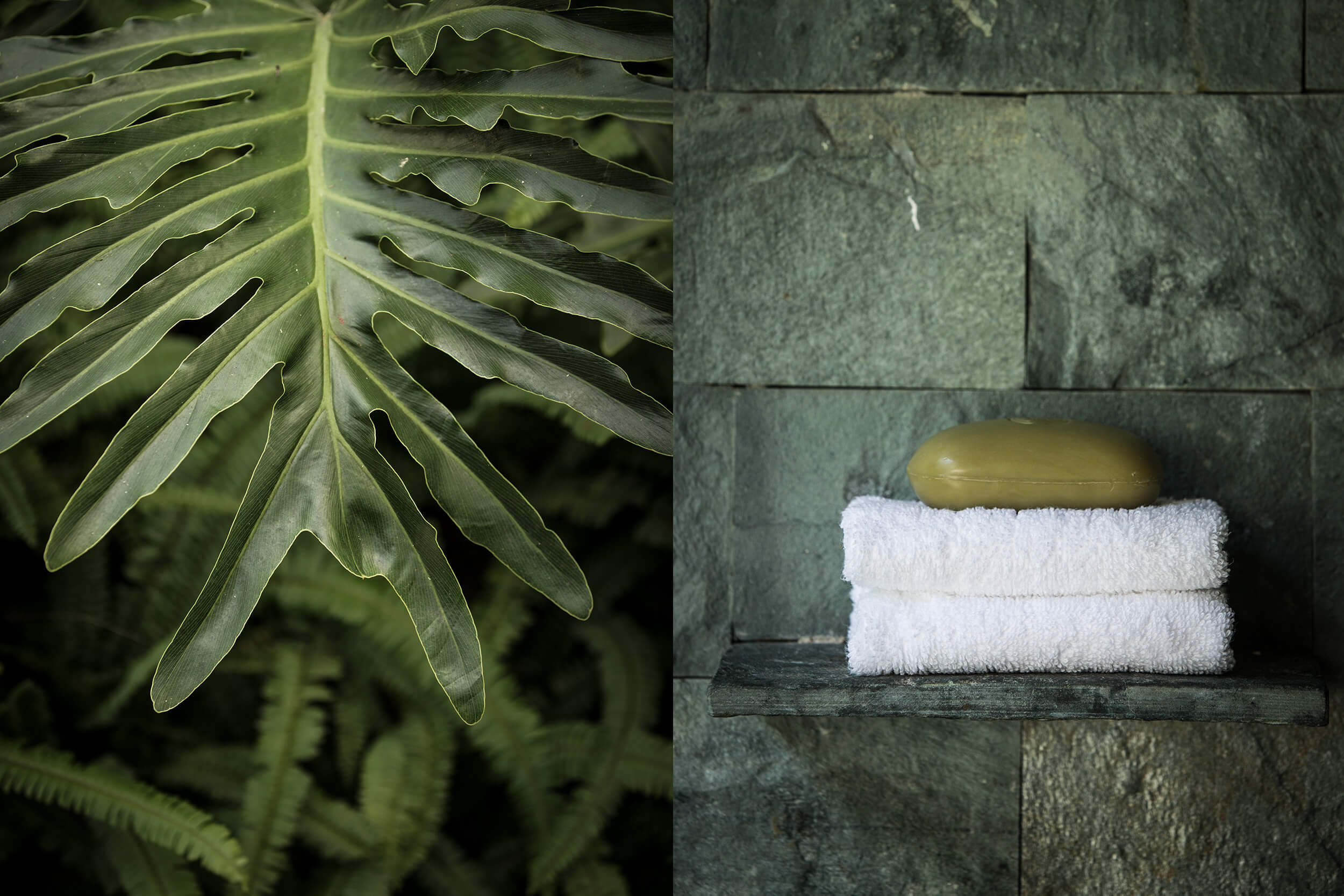 Destination Resort-Brand-2